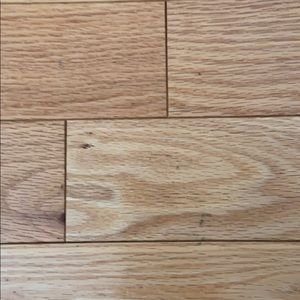 Meet your Posher, Anastasia